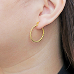 Load image into Gallery viewer, Unique Molly Small Hoop Fashion Earrings for women