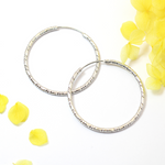 Load image into Gallery viewer, Molly Silver Small Hoop Fashion Earrings