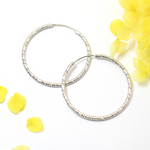 Load image into Gallery viewer, Molly Silver Small Hoop Fashion Earrings
