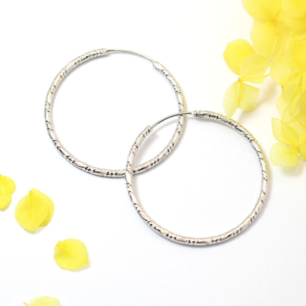 Molly Silver Small Hoop Fashion Earrings