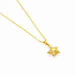 Load image into Gallery viewer, Unique Molly Double Engraved Star Fashion Necklace for women
